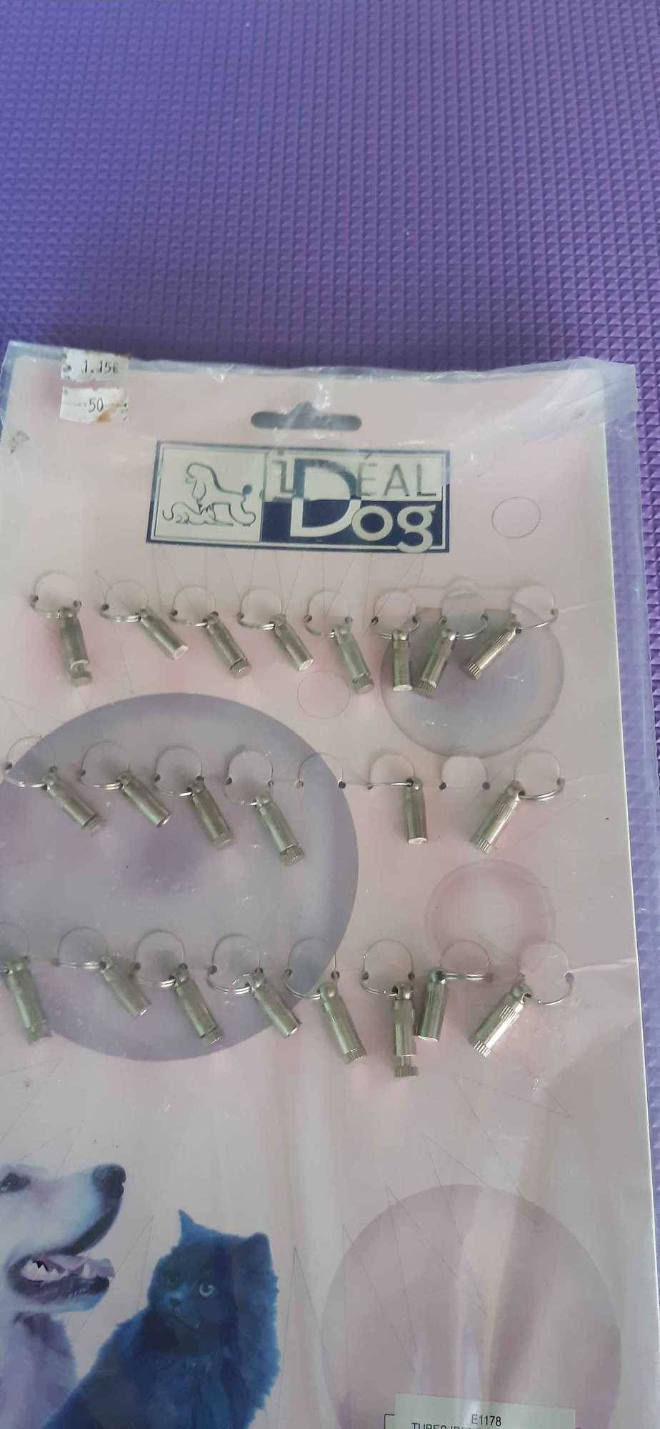 collier chien