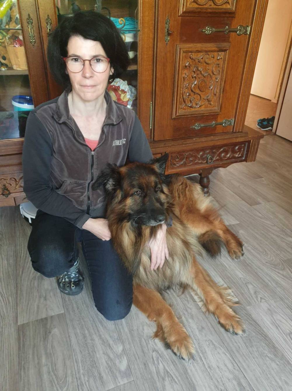 chien après toilettage